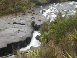What Nature can do when you're not looking. A grey Gruyere cheese on the Waihaha River