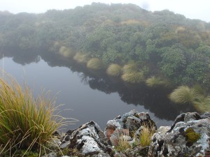A misty tarn on the Ruahine tops