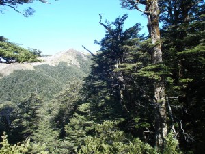 The view of Ihaka Spur from Camp Spur