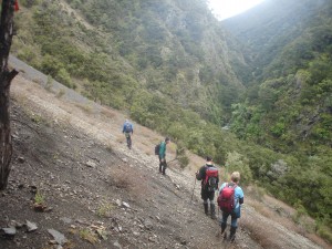 Searching for the track marker nearing Koau Stream, L to R Ted Angove,Simon Hill Marc Marchal and Isobel Holdaway