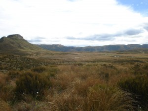 The Mangahone Plateau