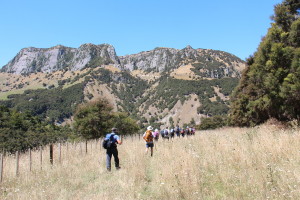 The trail leads up the limestone canyon