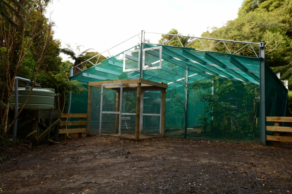 The aviary, where all the birds get acclimatised