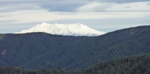 The view of Mt Ruapehu from the tops