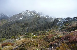 The track and route to the Ruahine Tussock tops