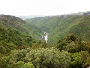 A view of the Manawatu River from the track