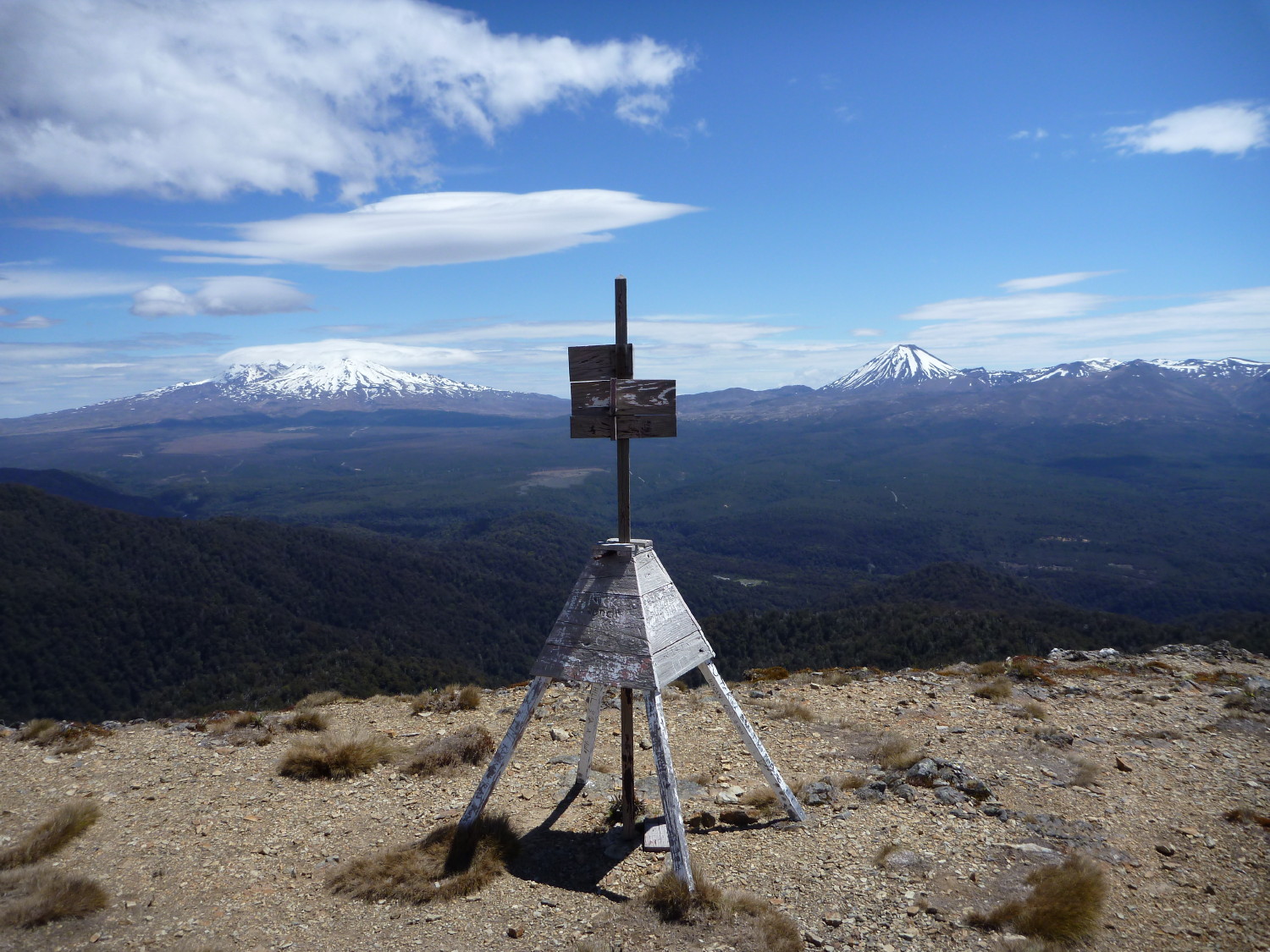 The Urchin trig and views