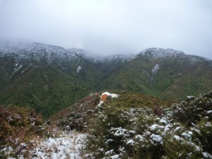 Kiritaki Hut, from the track above