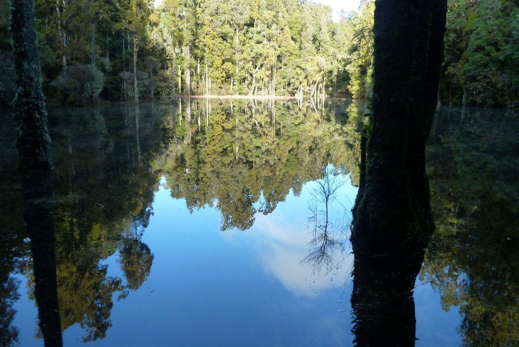 Waihora Lagoon, with splendid reflections