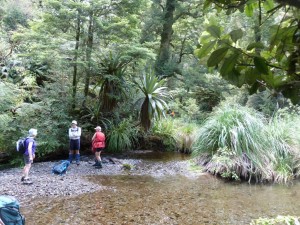 The shallow Taumutu stream