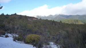 The early view of the Kaweka tops in cloud