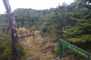 Pohatuhaha Trig seen from the main track