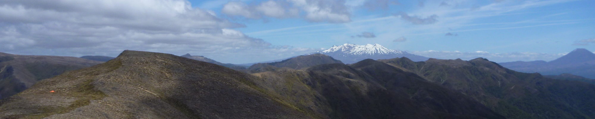 Ruapehu and Ngauruhoe seen from the Kaimanawa Ranges