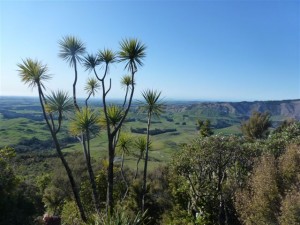 The views across central Hawkes Bay