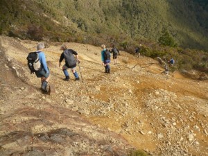 Downhill to Te Puia Lodge