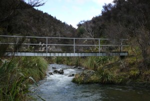 The Mangatutunui Stream bridge, near the start of Middle Hill track 